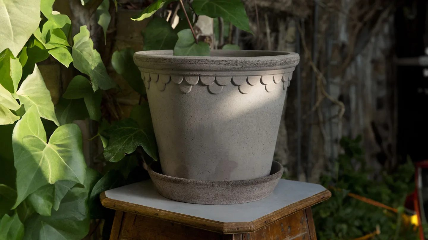 Nordic Grey Københavner terracotta pot and saucer with a leafy plant.