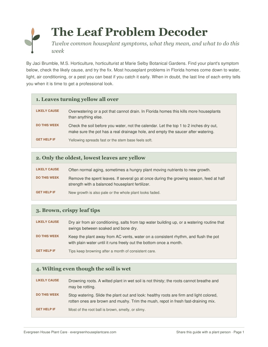 First page of the Leaf Problem Decoder PDF, showing symptom cards with likely causes and fixes
