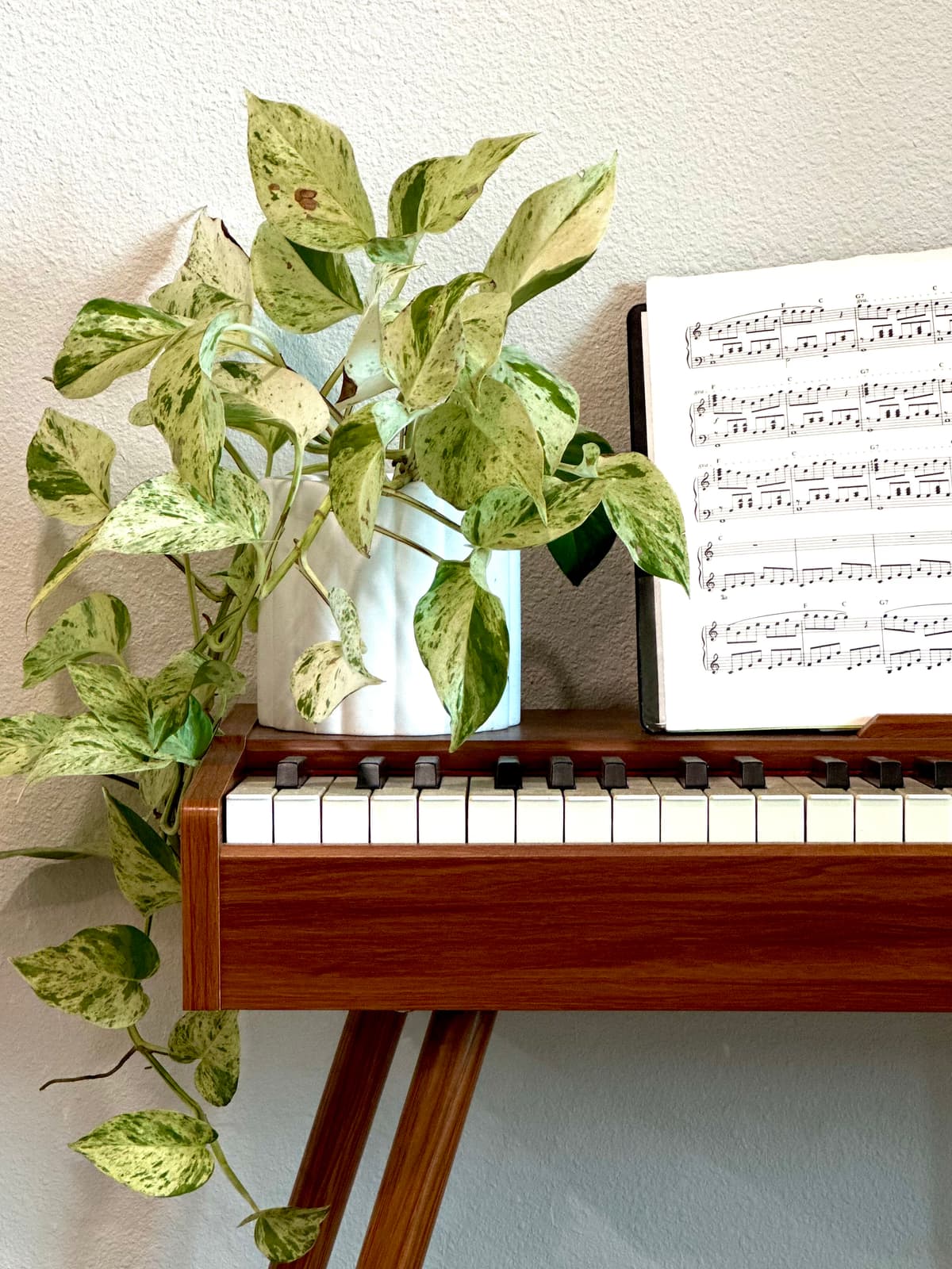 A marble pothos trailing down from the top of an upright piano beside open sheet music