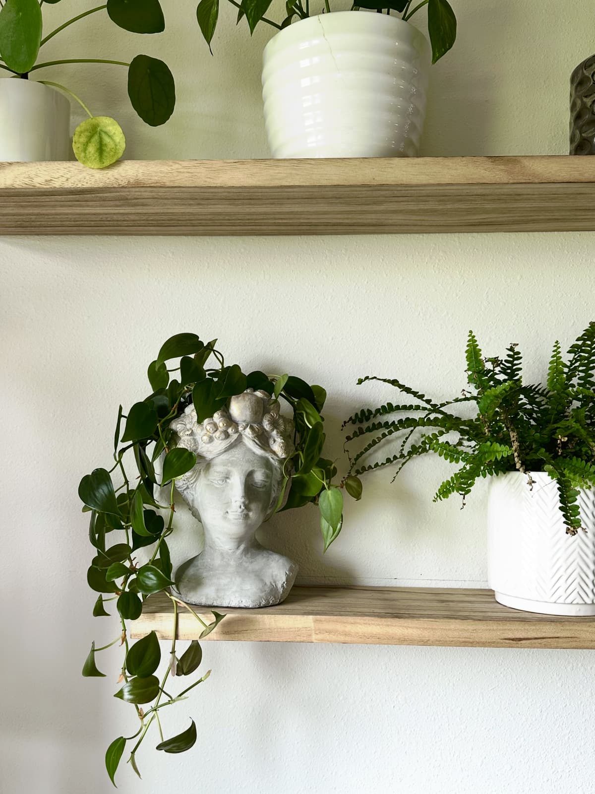 Floating shelves holding a trailing heartleaf philodendron in a sculpted head planter, a small fern, and pothos on the shelf above