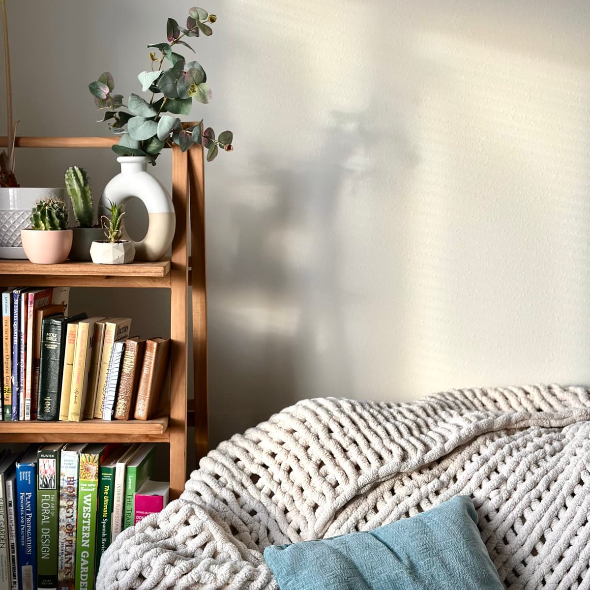 A styled plant shelf in a Gulf Coast living room: cacti and succulents in small matched pots, eucalyptus in a white vase, and shelves of horticulture and floral design books below